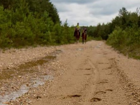 Riding in Surrey